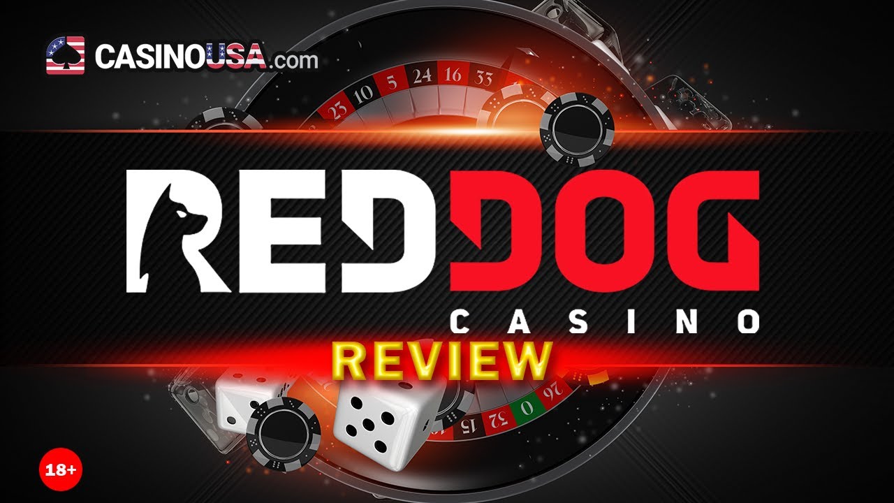 RedDog Casino รีวิว โบนัสเงินฝาก